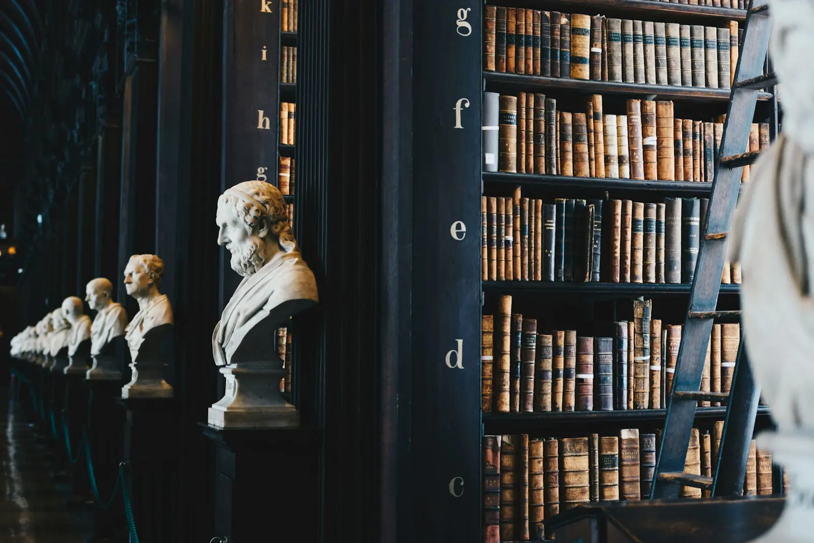 Livros de Direito em estante de madeira